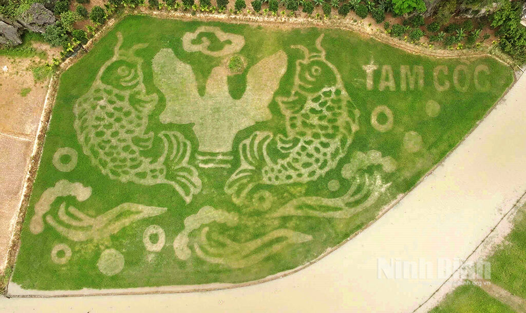 Tam Coc Art Ninh Binh